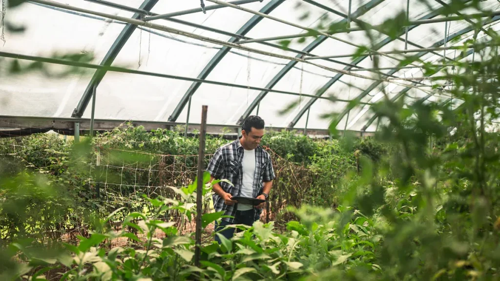 AI Agriculture PCBA for Brazilian Smart Farming