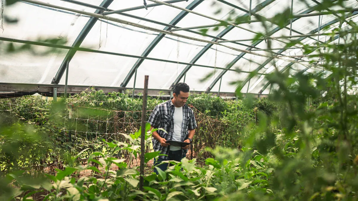 AI Agriculture PCBA for Brazilian Smart Farming