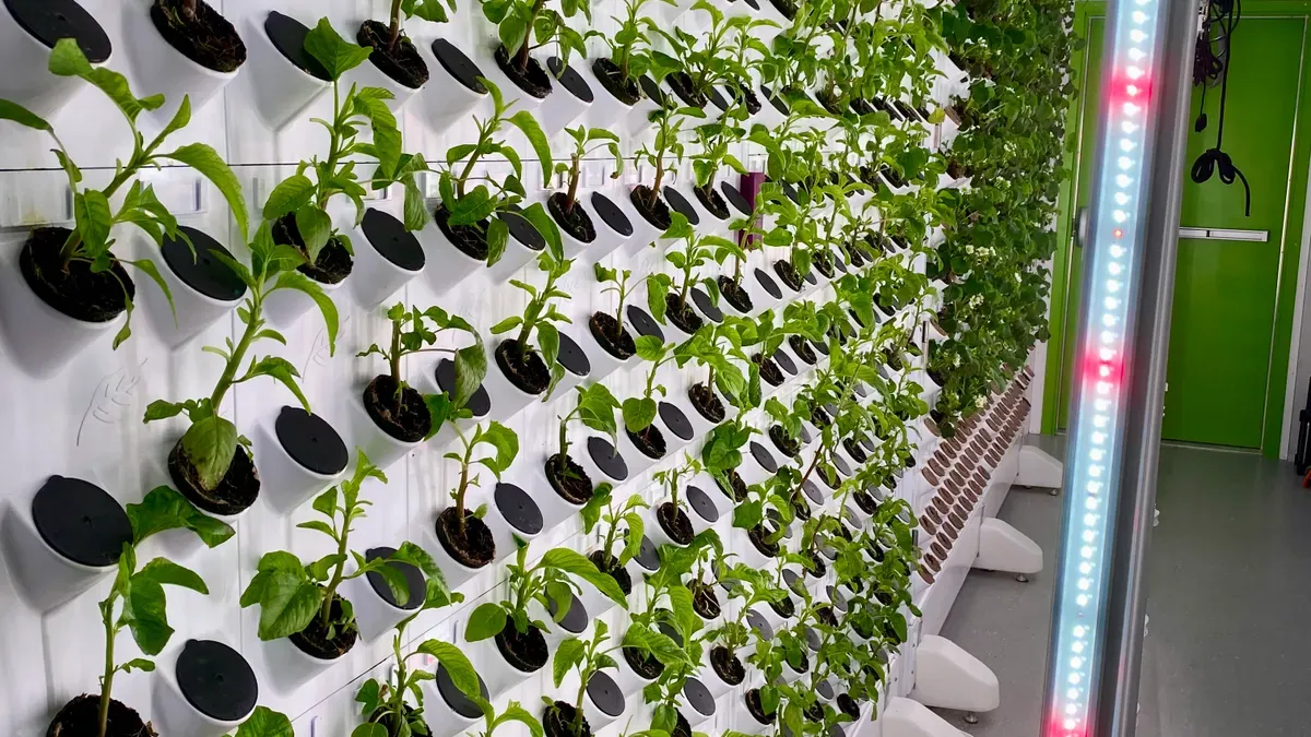 H2: Smart Greenhouses: Automation to Edge AI